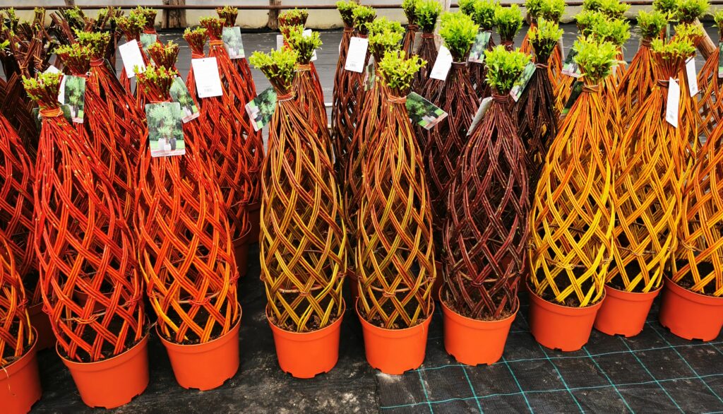 Sklep roslinyabramczuk.pl