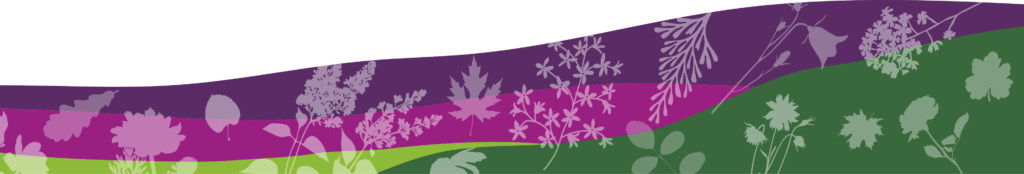 Sklep roslinyabramczuk.pl