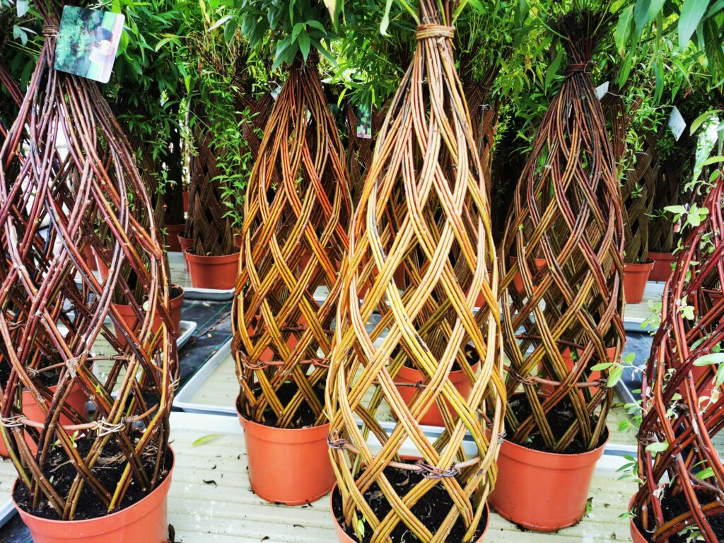 Sklep roslinyabramczuk.pl