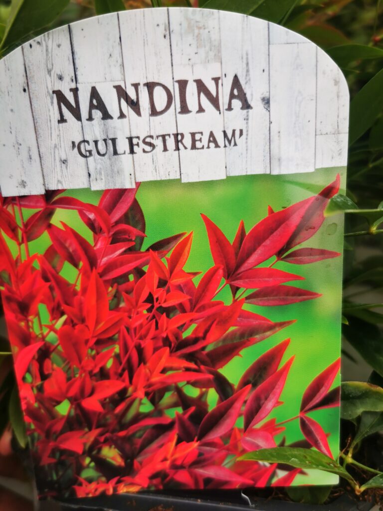 Sklep roslinyabramczuk.pl