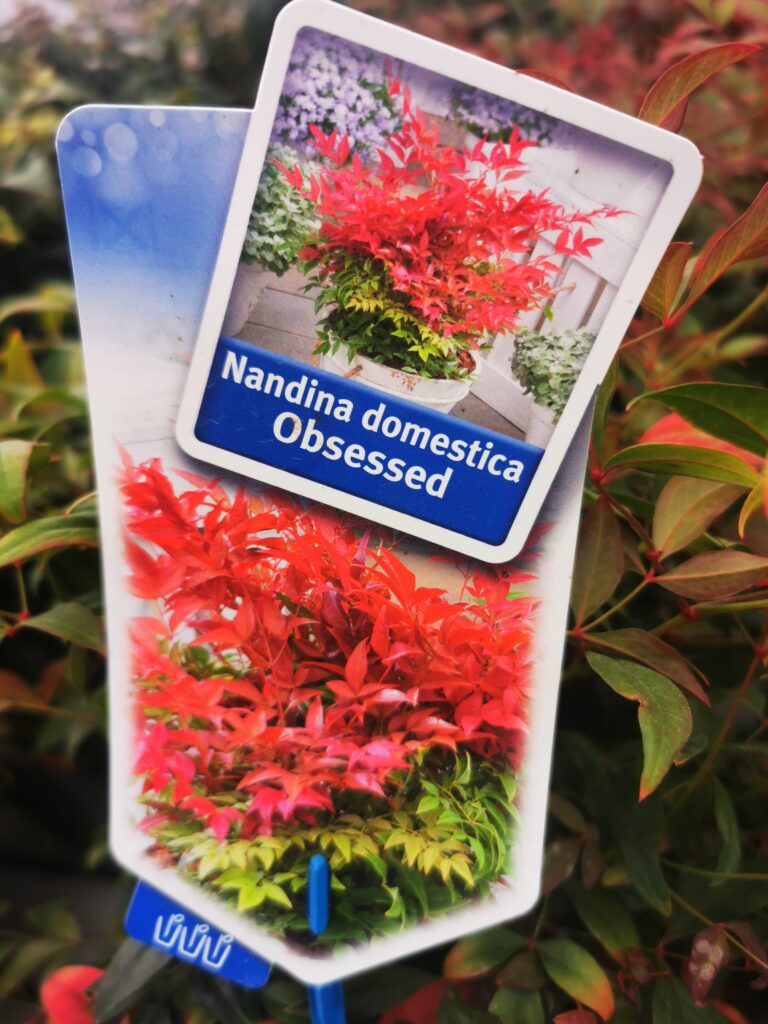 Sklep roslinyabramczuk.pl