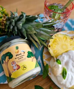 Miód Przyczajony Ananas 420g