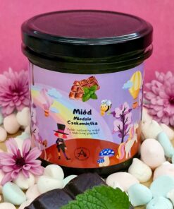 Miód CzokoMiętka 420g