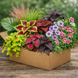 Kwiatowy Box Niespodzianka